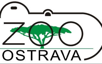 Zoo Ostrava – Kočkodan Dianin